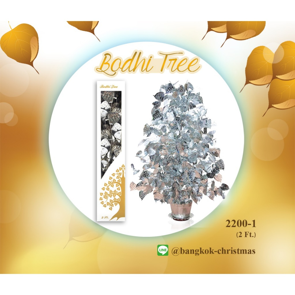 ต้นโพธิ์เงิน โพธิ์ทอง ขนาด 2 ฟุต (2200-1) BODHI TREE ของฝาก ของขวัญเพิ่มบุญ