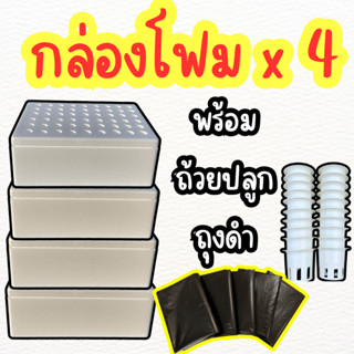 ชุดกล่องโฟมชุด 4 ใบ พร้อมถุงดำ และ ถ้วยปลูก (**เจาะรูฟรี**)