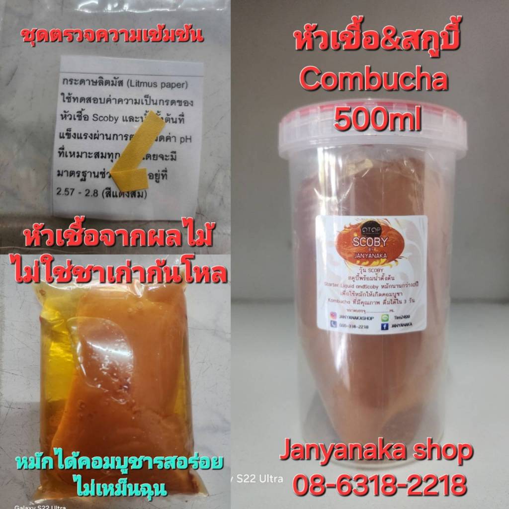 ชุดหมักคอมบูชา SCOBY BY JANYANAKA ใช้หมักชาคอมบูฉะ หัวเชื้อจากผลหมักนานกว่า5ปีจนหมดกลิ่นหมัก (Otop)มั่นใจต้อง )