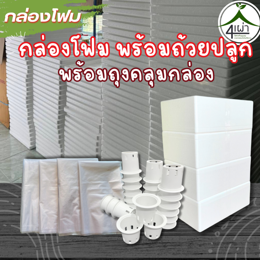 กล่องโฟมปลูกผักไฮโดร เกรดA 4 กล่อง พร้อมเจาะรู + ถ้วยขาว 24 ใบ + ถุงคลุมกล่อง