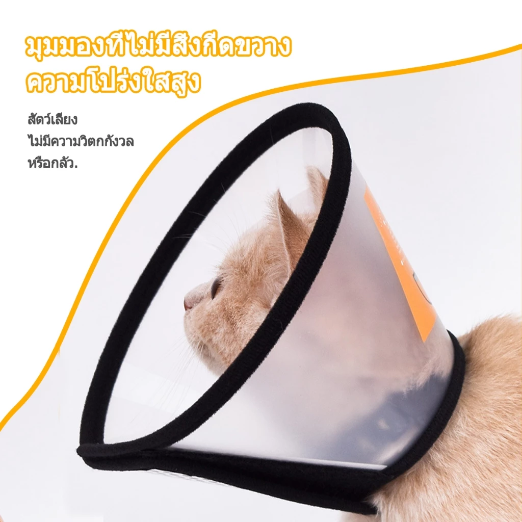 ปลอกคอกันเลียแมว แบบลำโพง นุ่มสบาย ระบายอากาศ ทุกขนาด thumbnail 6