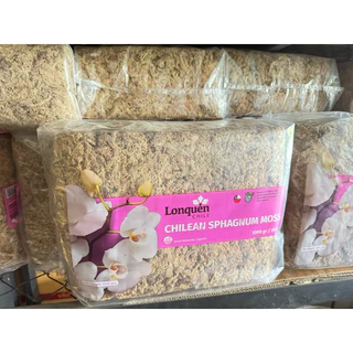 สแฟกนั่มมอส มอสชิลี ปลูกต้นไม้ 1 kg. (Chilean Sphagnum Moss)