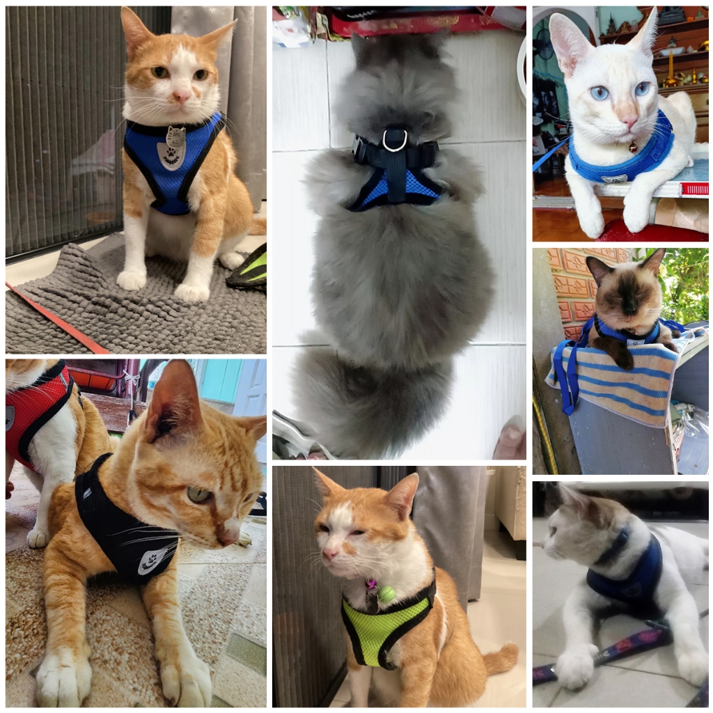 รูปภาพ 9