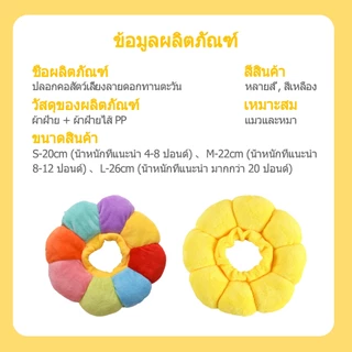 คอลล่าแมว กันเลียแมว ลําโพงแมว กันเลีย ลําโพงหมา ปอกคอแมว คอล่าแมว คอลล่าสุนัข คอลล่า คลอล่าแมว