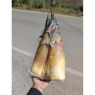 หน่อไม้หวาน    อินทรีย์   1 กิโล เก็บๆจากสวน (ใช้ แกง ต้มจืด…