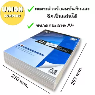 (USP)💢แท้/พร้อมส่ง💢[ขายยกแพ็ค10เล่ม] ELEPHANT สมุดรีพอร์ท A4 สมุดรายงาน เปิดหัว ฉีกได้ สมุดมีเส้น A4 70แกรม 50แผ่น P-101