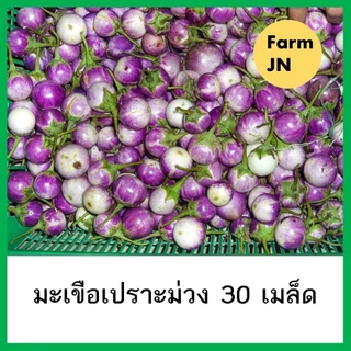 เมล็ดมะเขือเปราะม่วง เมล็ดผักสวนครัว 10 แถม 1
