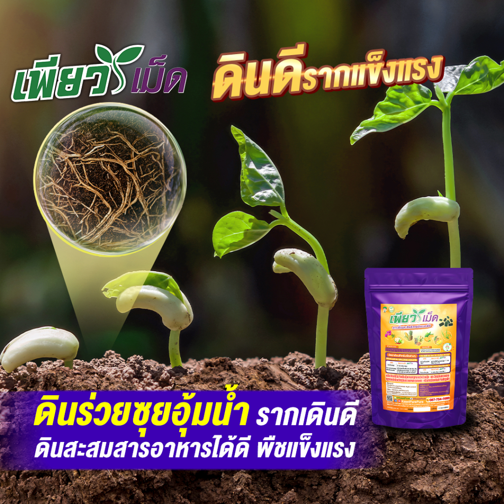 เพียวเม็ด 1 แถม 1 แก้เชื้อรา รักษาพืชป่วย ต้นโทรม ใบร่วง ดอกร่วง ผลร่วง-เน่า ใบจุด ราน้ำค้าง ราสนิม ราคา ถูกที่สุด ดีลบีเคเค แกลเลอรีภาพที่ 7