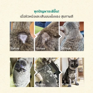 (1 กล่อง/12 ซอง) SUN WONDER FURRY BOOSTER อาหารเสริมบำรุงขนและผิวหนังสำหรับสัตว์เลี้ยง