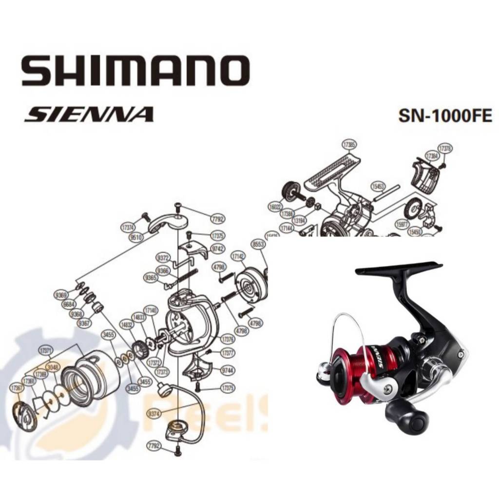 อะไหล่รอก SHIMANO SIENNA 1000