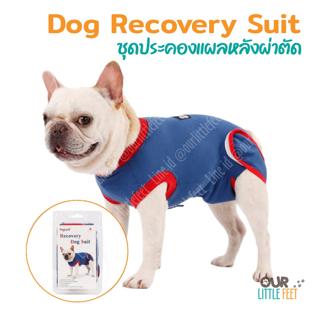 ชุดหลังผ่าตัดสุนัข Lemi
