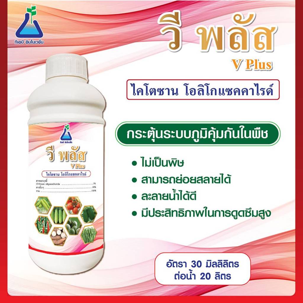 วีพลัส ขนาด 1 ลิตร ไคโตซาน โอลิโกแซคคาไรด์ ดูแลพืช จาก ทีเอบี V-Plus 1 L :- Chitosan for plants from TAB