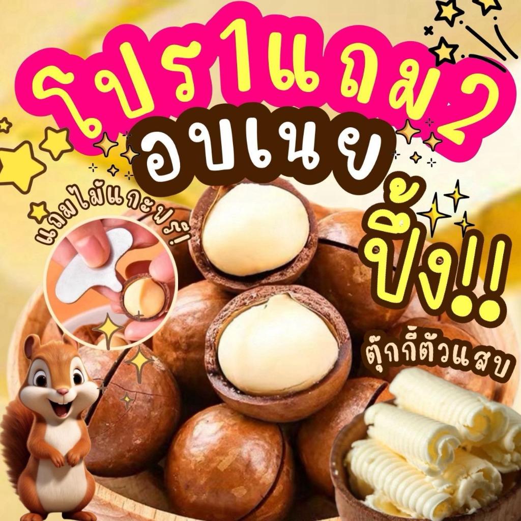 1แถม2 แมคคาเดเมีย ถุงละ100g. เม็ดใหญ่ เปลือกบาง เนื้อเยอะ ตุ๊กกี้ตัวแสบแถมที่แกะ1ชิ้น