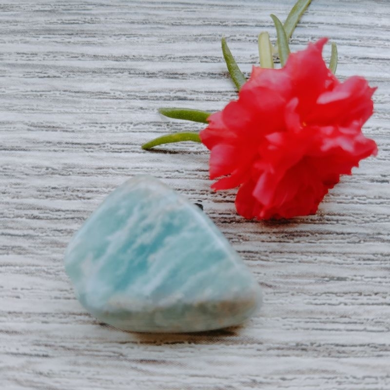 CW : เครื่องรางยืมความสามารถดจินน์ DJINN LIFE BEGINS