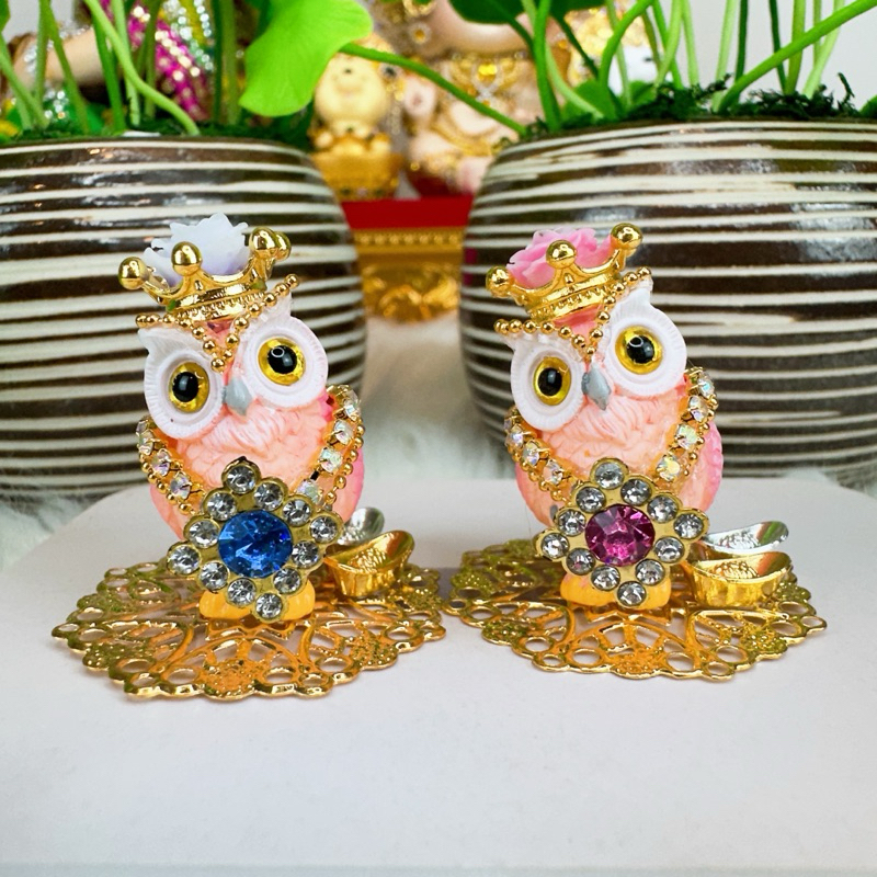 นกฮูกพระแม่ลักษมี รุ่นจิ๋วแต่แจ๋ว สีฟ้าชมพู🩷🩵 - รูปที่ 5