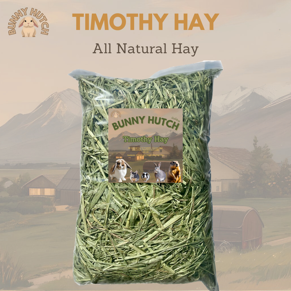 หญ้าทิมโมธี หญ้าทิมโมธีพรีเมียม All Natural Hay 1 kg