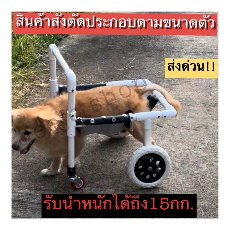 วีลแชร์สุนัขน้ำหนักไม่เกิน 15 กิโล