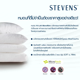 STEVENS หมอนหนุน Hi-Loft Microfibre Firm ขนาด 19x29 นิ้ว