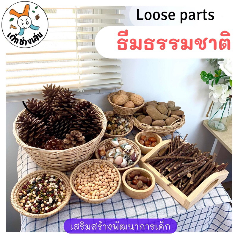 ชุดsensory play  ธีมธรรมชาติ 10 อย่าง 1 ก.ก Loose parts ของเล่นปลายเปิดสไตล์มอนเตสซอรี่ วอลดอร์ฟ Reggio Montessori