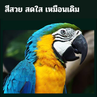 หมึกเติม ปริ้นเตอร์ CANON GI-790 GI-890 มีกล่อง Canon G1000 G1010 G2000 G2010 G3000 G3010 G4000 G4010 หมึกเครื่องปริ้น