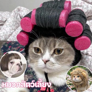 COD😺หมวกสัตว์เลี้ยง วิกผมสัตว์เลี้ยง ตลกและน่ารัก อุปกรณ์ปาร…