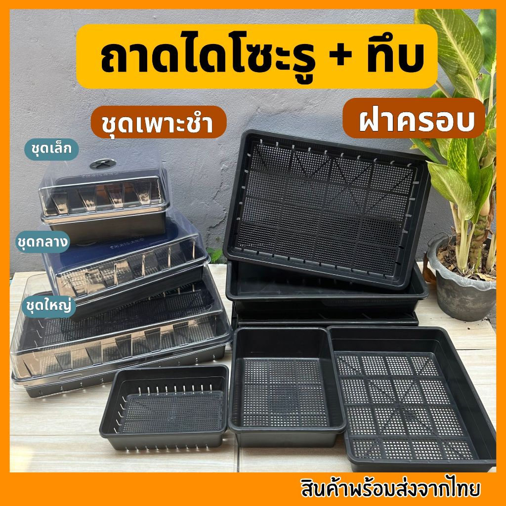 ถาดไดโซะ  ถาดทึบ ถาดรู ถูกที่สุด