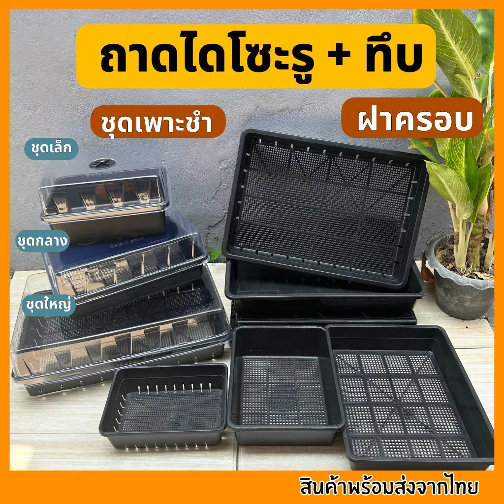 ถาดไดโซะ ถาดทึบ ถาดรู ถูกที่สุด