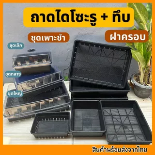 ถาดไดโซะ ถาดทึบ ถาดรู ถูกที่สุด