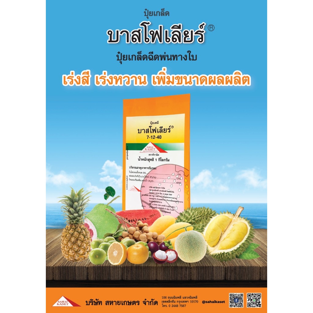 ปุ๋ยเกล็ด 7-12-40 บาสโฟเลียร์ขนาด 1 กก. จากบริษัทสหายเกษตร  ลมเบ่ง ผสมเกสร สร้างแป้ง เพิ่มน้ำหนัก เพิ่มเนื้อ เร่งสี