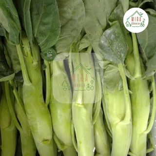 เมล็ดพันธุ์ คะน้าเห็ดหอม บรรจุ 100 เมล็ด