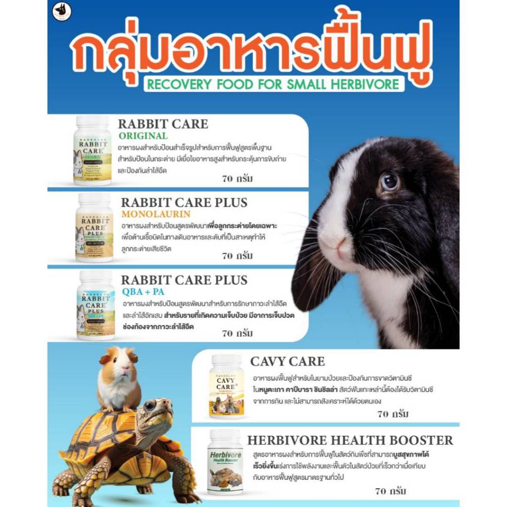 รูปภาพ 2