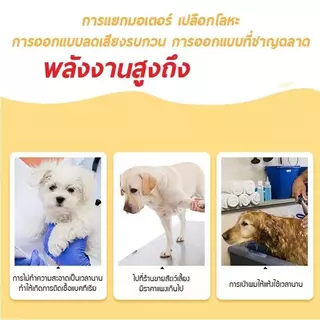 6500W ไดร์เป่าขนหมา&เครื่องดูดฝุ่น ไดร์ขนหมา เสียงเบา เครื่องเป่าขน ไดร์ไล่น้ำ ไดร์เป่าขนสัตว์ ไดร์สุนัข pet hair dryer