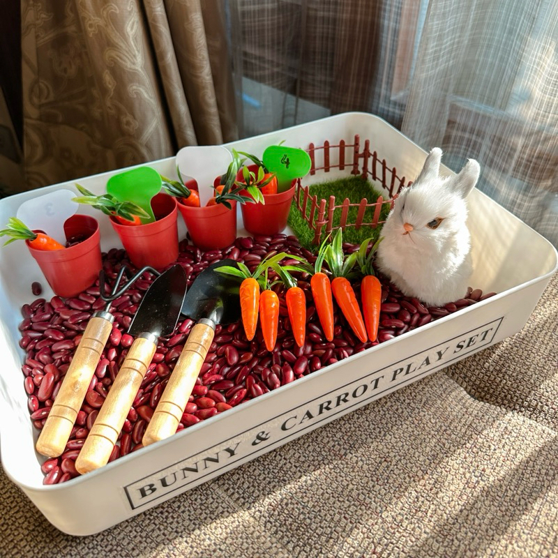 Bunny & Carrot Play Set ชุดปลูกแครอทในสวน ฝึกนับเลข