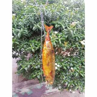 เหล็กอบปลาซาบะอบโอ่งอันละ21บ.​​ มัดละ10อัน​ มัดละ210บ.