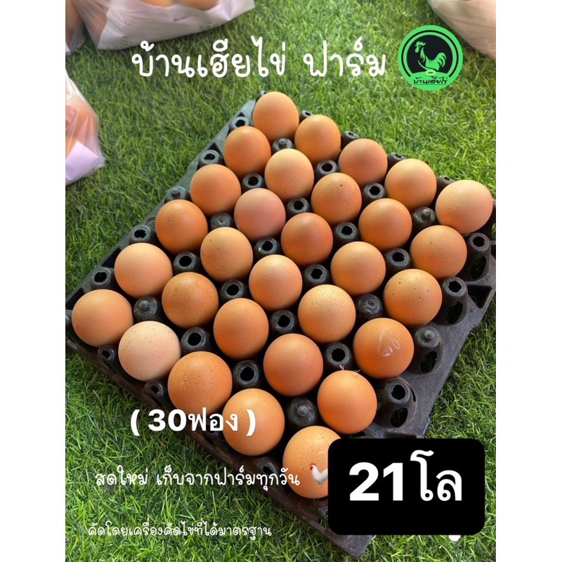 ไข่ไก่ เบอร์ใหญ่รวม สดสะอาด จากฟาร์มวันต่อวัน