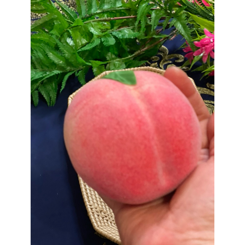 ผลไม้ปลอม โมเดลลูกพีช ลูกพีชปลอม โมเดลผักผลไม้ (ขายยกเซ็ท3 ลูก) - รูปที่ 4