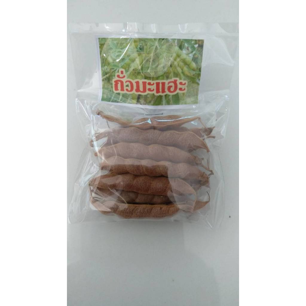 เมล็ดพันธ์ ถั่วมะแฮะ ถั่วแฮะ บ่าแฮะ ซองละ 70-80เมล็ด  29 บาท ถั่วแระ ปลูกได้ ทานได้ (Pigeon pea)