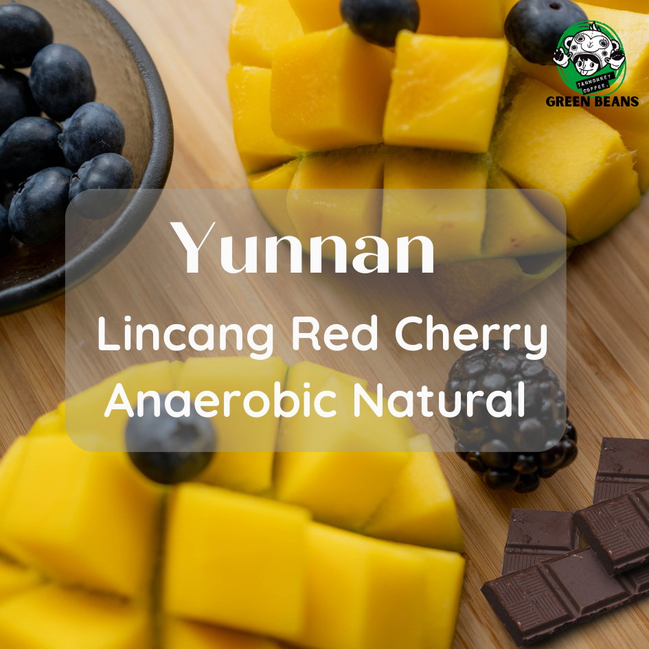 New Lot ! สารเมล็ดกาแฟ Yunnan Lincang Red Cherry Anaerobic Natural 1000g