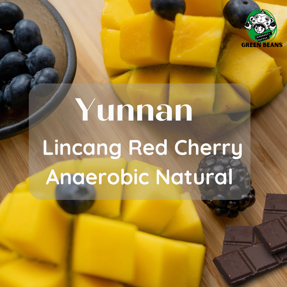 New Lot ! สารเมล็ดกาแฟ Yunnan Lincang Red Cherry Anaerobic Natural 1000g