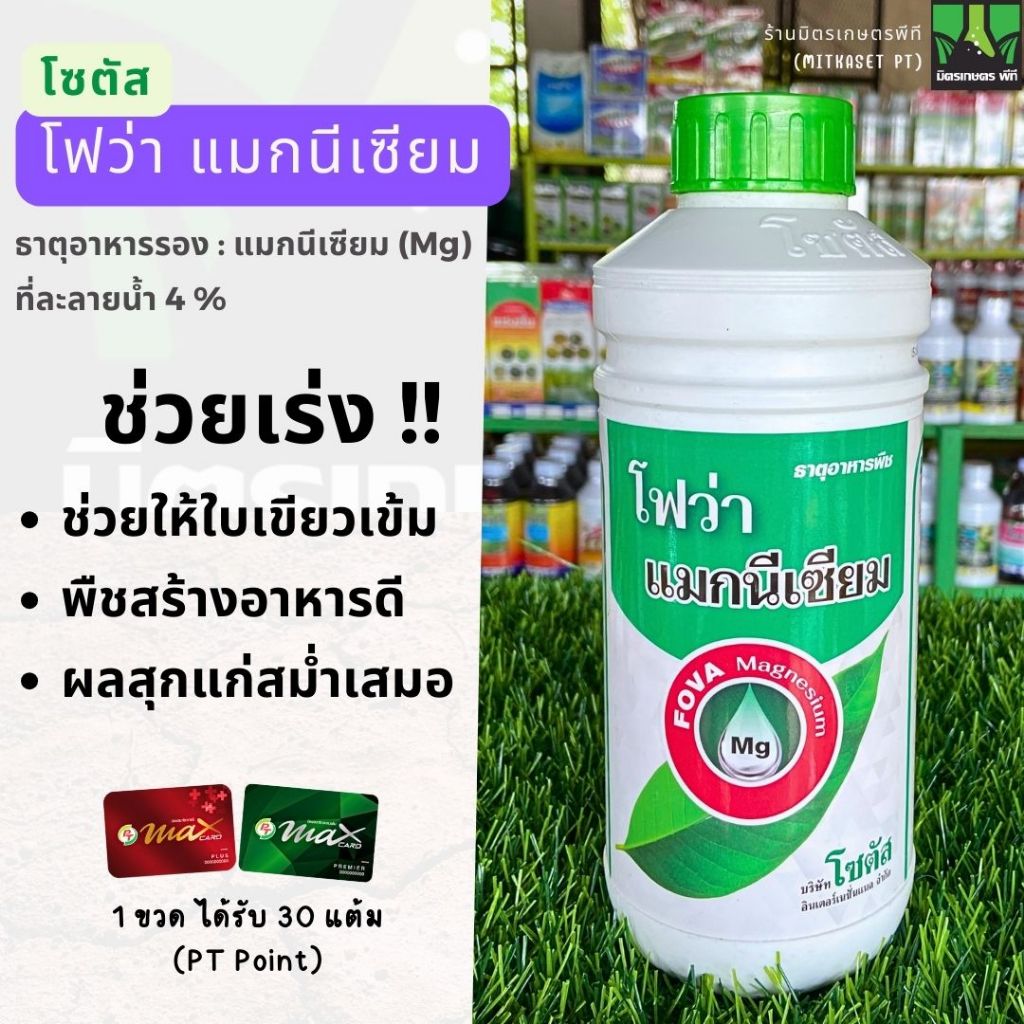 โฟว่า แมกนีเซียม ขนาด 1 ลิตร ใบเขียวเข้ม พืชสร้างอาหารได้ดี ธาตุอาหารพืช ดูดซึม เข้าสู่พืชได้เร็ว ปุ๋ยเคมี ปุ๋ยทางใบ