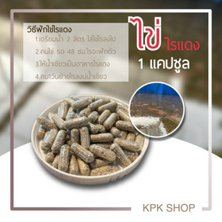 KPK ไข่ไรแดงมาโคร (แคปซูล 0.2 กรัม)