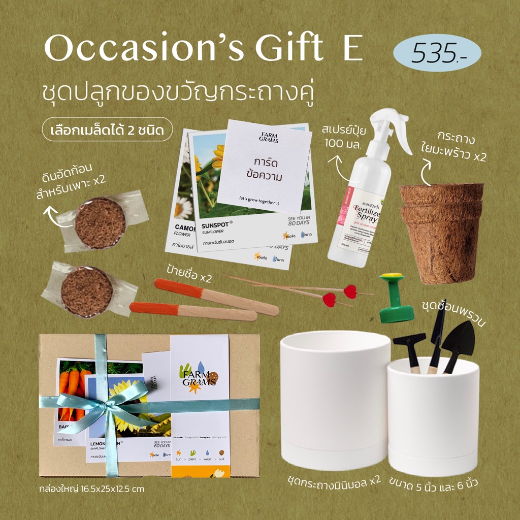 ใส่โค้ด FARMM50 ลด50฿ l ชุดปลูกดอกไม้ Occasions's Gift E ของขวัญโอกาสพิเศษ : ชุดปลูกคู่กัน(ดอกไม้และผัก) กระถางทรงสวย