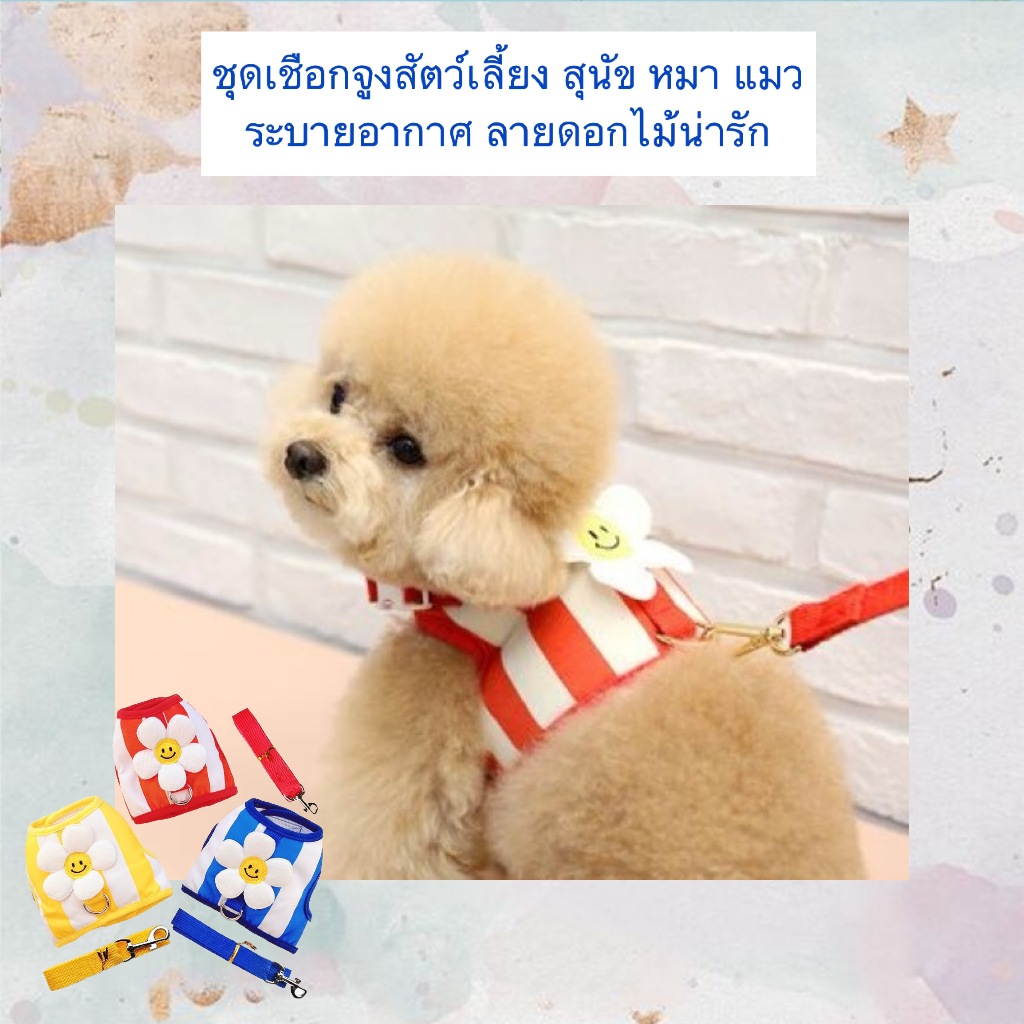 PP-1134 ชุดสายจูงสัตว์เลี้ยงดีไซน์ลายดอกไม้สุดน่ารัก ระบายอากาศได้ดี เหมาะสำหรับสุนัขและแมว