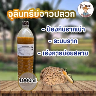 (ใช้โค้ดส่งฟรี)จุลินทรีย์จาวปลวก ขนาด1ลิตร ป้องกันรากเน่ารากขาว รากปม ระบบราก ช่วยย่อยสลายกองปุ๋ยวัตถุอินทรีย์
