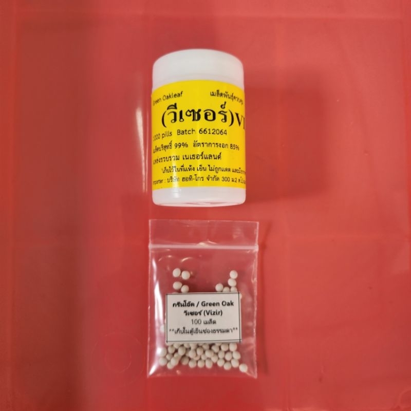 เมล็ดพันธุ์ผักสลัด แบบเมล็ดเคลือบ ENZA ZADEN อัตราการงอก 99% แบ่งบรรจุ 100 เมล็ด - รูปที่ 5