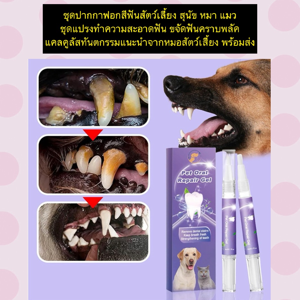 PP-1144 ชุดปากกาฟอกสีฟันสัตว์เลี้ยง ดูแลช่องปากทั้งแมวและสุนัข พร้อมส่ง