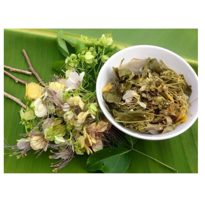 ต้นกุ่มบก (ชุด3ต้น119บาท)ดอกและยอดอ่อนนำมาดอง ใช้รับประทานเป็นผักจิ้มน้ำพริก ปลูกเป็นไม้ประดับได้