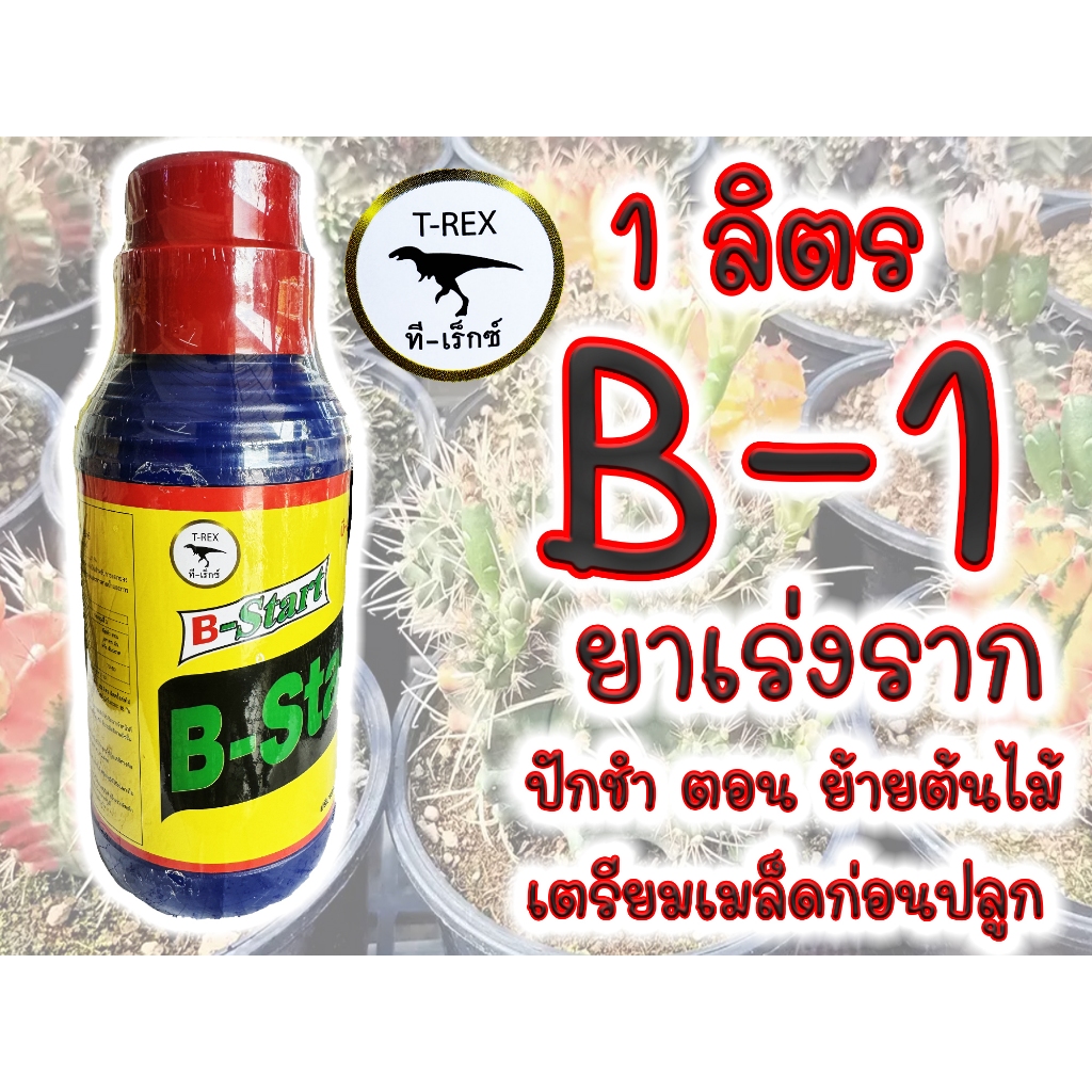 (1ลิตร) B1 T-REX น้ำยาเร่งราก B-1 บี วัน  ขนาด 1 ลิตร  เร่งราก เเคคตัส กระบองเพชร ต้นไม้ทุกชนิด