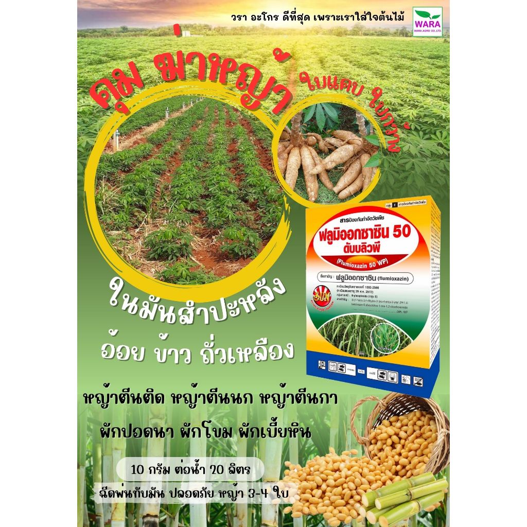 ซูมิโซย่า หญ้าใบแคบ ใบกว้าง ในมันสำปะหลัง ฉีดทับได้เลย คุมนาน นกสีชมพู ตีนติด ตีนกา ตีนนก ปากควาย รังนก ฟลูมิออกซาซิน50
