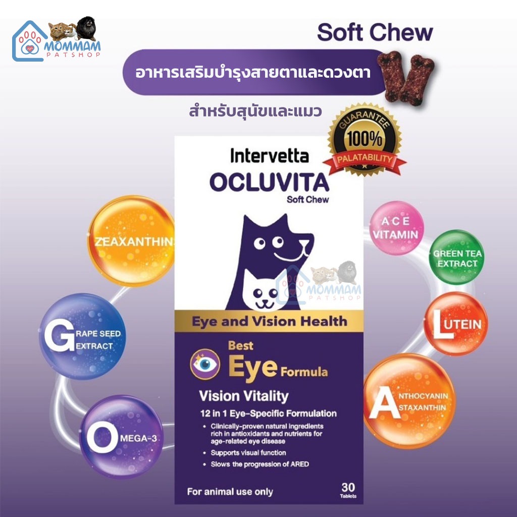 Intervetta Ocluvita อาหารเสริมเพื่อบำรุงสายตาและดวงตา สำหรับสุนัขและแมว